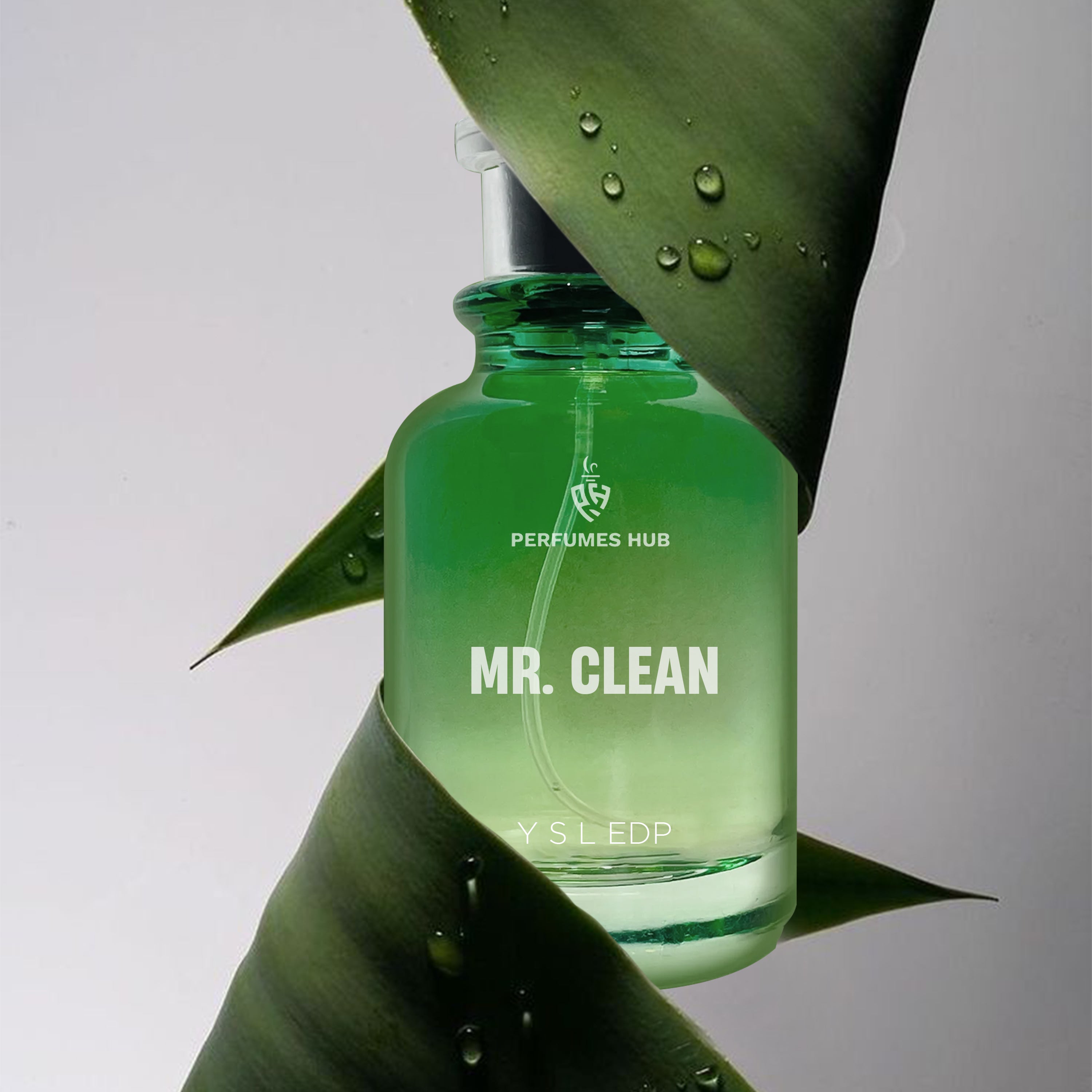 Mr CLEAN (Impression of Y By Y S L EDP)